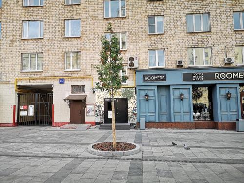モスクワにあるApartment IRMAN Na Sukharevskoyの建物前の中庭の木