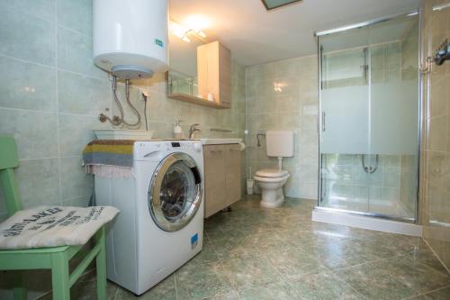 a bathroom with a washing machine and a toilet at Casa Roza in Višnjan