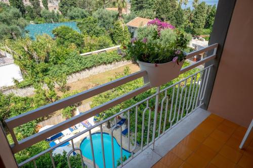 a balcony with a pot of flowers and a view at Boutique Hotel Regina in Sorrento