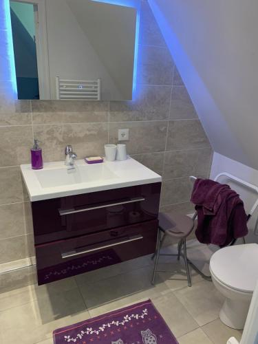 une salle de bain avec un lavabo et des toilettes dans l'établissement Les chaumières du pays d'auge, à Le Breuil-en-Auge