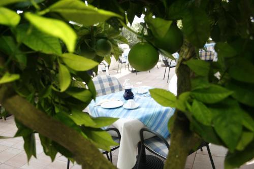 a blue and white table with a bottle of syrup on it at Hotel Villa Marija in Tučepi