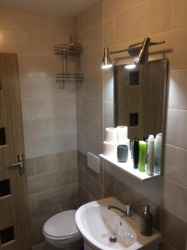 a bathroom with a sink and a toilet and a mirror at apartament parc cetate in Alba Iulia