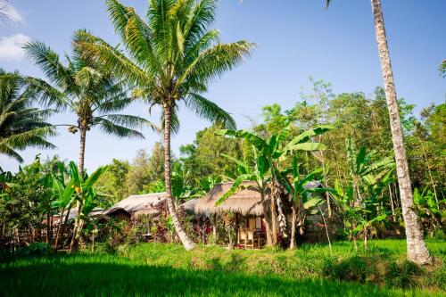 una casa en medio de una jungla con palmeras en Vanilla Cottage Tetebatu, en Tetebatu