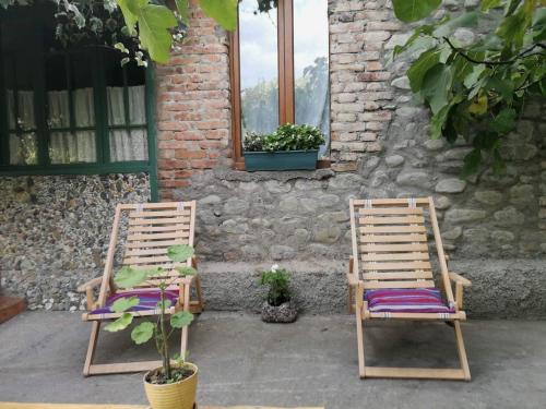 Ludwig Guesthouseにある庭