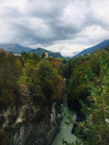 a view of a river with trees and a mountain at Guesthouse AlpenRose in Mestia