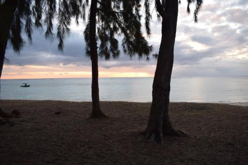two trees on a beach with a boat in the water at Sea Front Apartment Villa in Flic-en-Flac