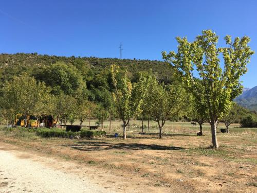 Un paisaje natural cerca del camping