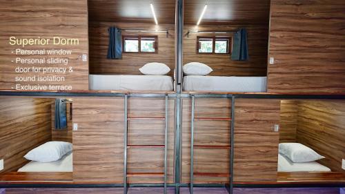 een kamer met vier stapelbedden aan de muur bij Casa Angel Hostel in Oaxaca City