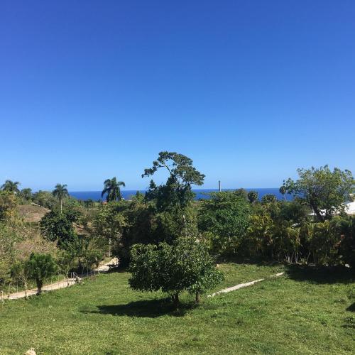 a tree in a field with the ocean in the background at Cabrera Chalet boutique hotel in Cabrera