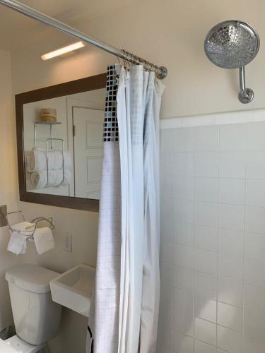 a bathroom with a toilet and a shower curtain at The Sands Motel in Boulder City