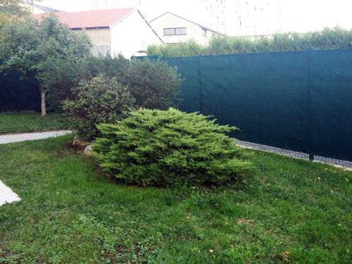 un bush vert dans une cour à côté d'une clôture dans l'établissement Les Agapanthes La Riche, à La Riche