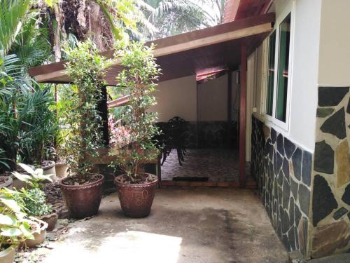 En have udenfor Khao Sok Las Orquideas Resort