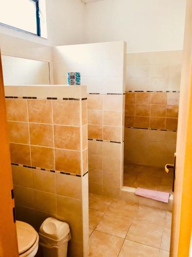 a bathroom with a shower with a toilet at Restaurace penzion Pod Šumárníkem in Tvarožná Lhota
