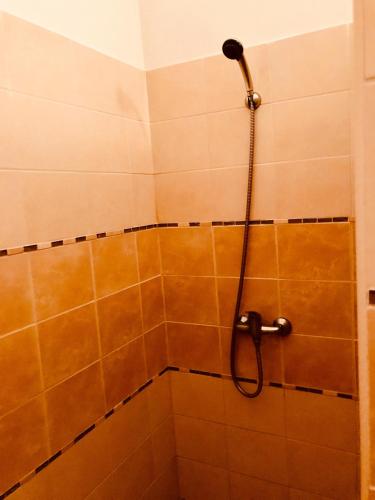 a shower with a hose in a bathroom at Restaurace penzion Pod Šumárníkem in Tvarožná Lhota