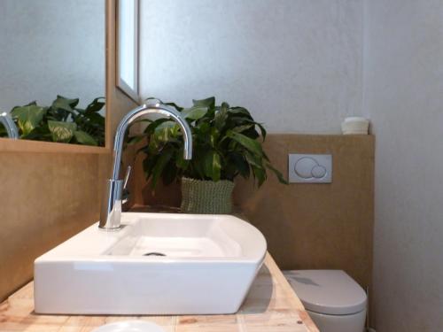 Billede fra billedgalleriet på Casa Vella del Panta i Ríudecañas