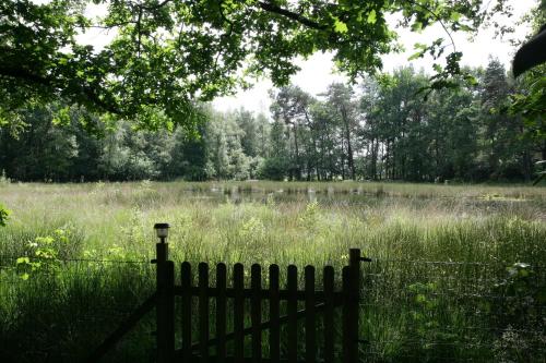 a wooden fence in a field of tall grass at Huisje venzicht 7 in Spier