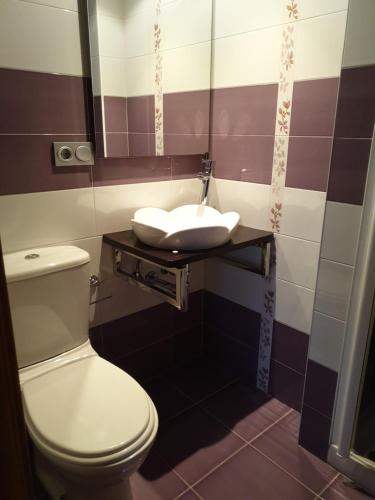 a bathroom with a toilet and a sink at Pension Paloma - Oiartzun in Oiartzun