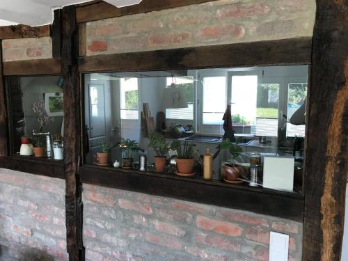 Ein Spiegel an einer Backsteinmauer mit Topfpflanzen darauf in der Unterkunft Buxhaus in Solingen