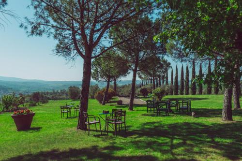 a group of tables and chairs in a field with trees at Agriturismo Palazzo Val Del Sasso in Villastrada