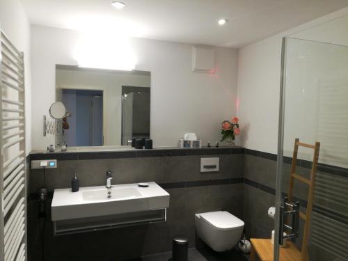 ein Bad mit einem Waschbecken und einem WC in der Unterkunft Schnieke Hüsing in Wismar
