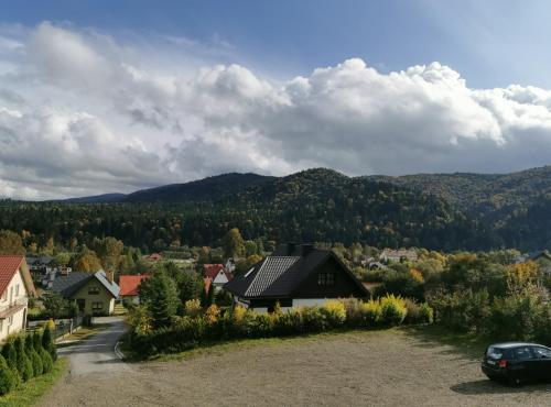 a view of a village with mountains in the background at Jeleni Skok in Cisna