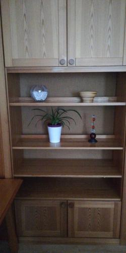 a cabinet with a potted plant sitting in it at Wohlfühl - Appartement Fewo Pichlarn Irdning Ferienwohnung in Aigen im Ennstal