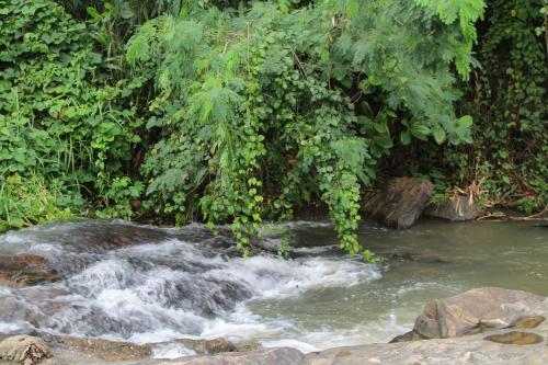 a stream of water with rocks and trees at hornbill river cottage udawalwa in Udawalawe