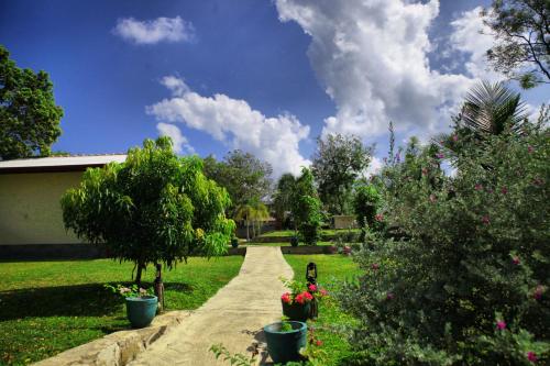 een pad in een tuin met bloemen en bomen bij Jungle Paradise in Udawalawe