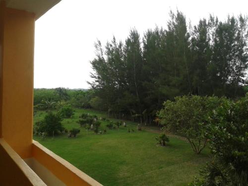 a view from a window of a yard with trees at Hotel Istirinchá in Nautla