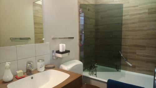 a bathroom with a toilet and a sink and a shower at Résidence Albigny Studio Vue Sur Lac Centre-ville d'Annecy in Annecy