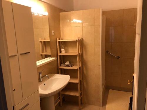 a small bathroom with a sink and a shower at Le Sainte Marie in Compiègne