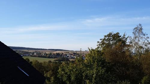 a view of a field and trees from a house at Ferienhaus Naturblick am Tor zum Nationalpark Kellerwald in Frankenau