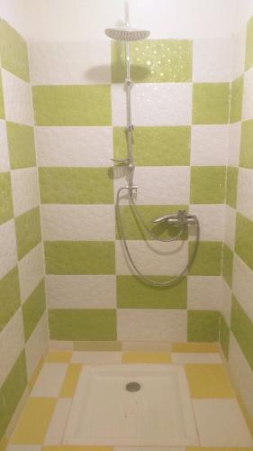 a bathroom with a shower with green and white stripes at Auberge Bougafer in Tamtetoucht