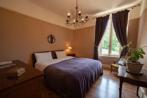 une chambre avec un lit et un lustre dans l'établissement Appartement de 2 Chambres au 1er Etage, à Carcassonne