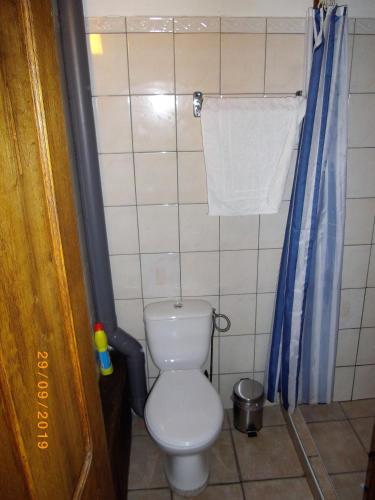 a bathroom with a toilet and a blue shower curtain at Maison du Moulin Galuzot in Saint-Vallier