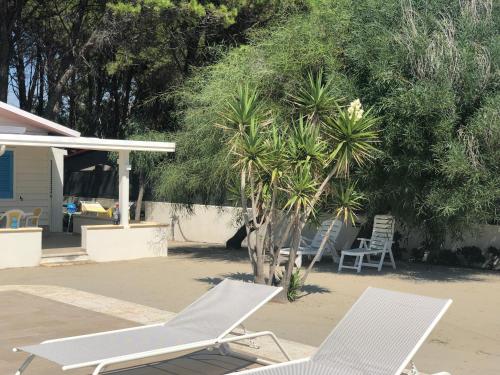 two lounge chairs and a palm tree on a beach at GIGLIO DI MARE Residence in Sellia Marina