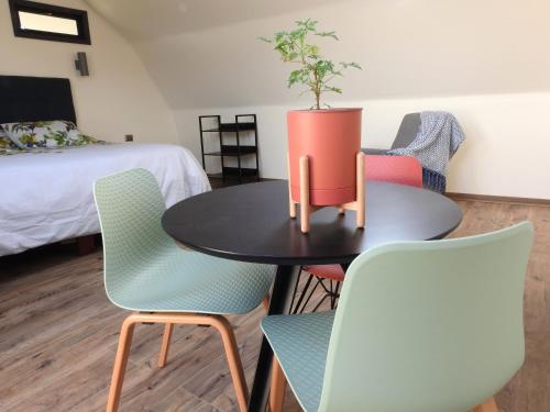 uma mesa com cadeiras e um vaso com uma planta em Rucatalca Bed and Breakfast em Nancagua
