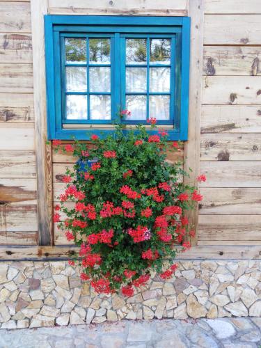a window on a wooden wall with red flowers in a window box at Apartment Bajka in Mokra Gora