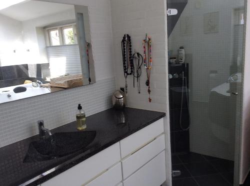 a bathroom with a sink and a shower at Langø Overnatning in Langø