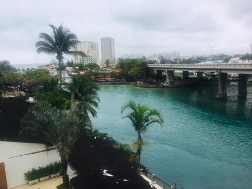 a river with palm trees and a bridge at Laguna Hostel in Rio de Janeiro