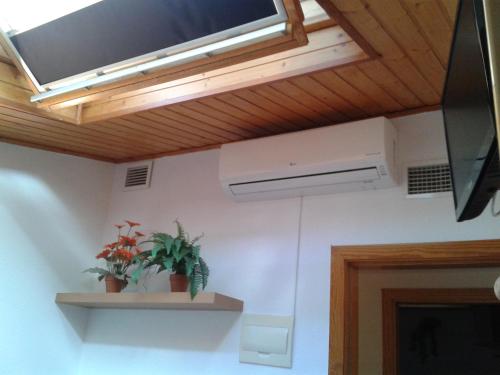 a living room with a ceiling with a window and plants at Hostal Arneva Orihuela in Arneva