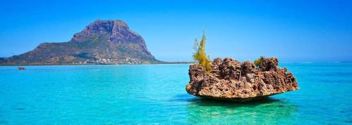 a rock in the water with a mountain in the background at Oceanview Kite Studio in Rivière Noire