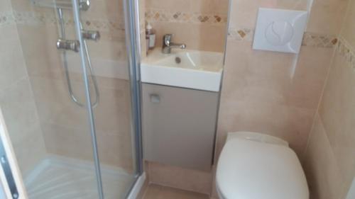 une salle de bain avec une douche, des toilettes et un lavabo dans l'établissement Paris 8 ème Appartement 2 pièces Métro Miromesnil, à Paris