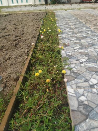 a garden with flowers on the side of a sidewalk at Halcyon Days @ Langkawi in Pantai Cenang