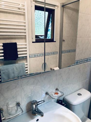 a bathroom with a sink and a toilet and a mirror at Cedar Cottage Veluwe in Ermelo