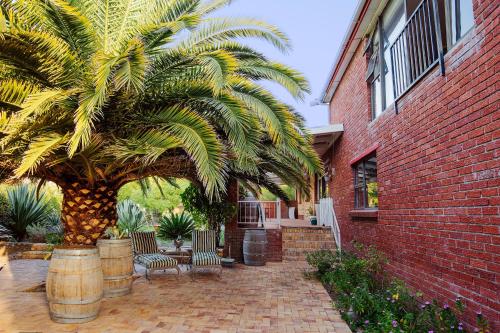 a palm tree in front of a brick building at Staymore in Stellenbosch