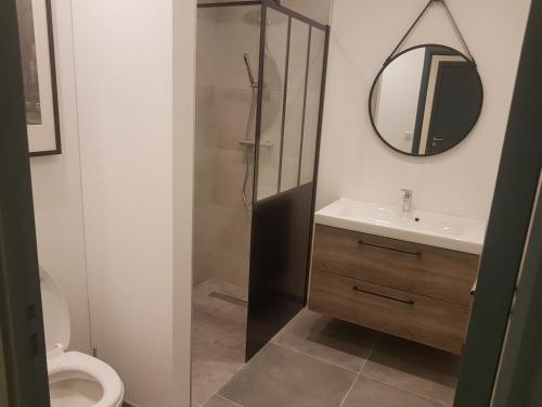 La salle de bains est pourvue de toilettes, d'un lavabo et d'un miroir. dans l'établissement Dépendance au goût de vacances, à Moulainville-la-Basse