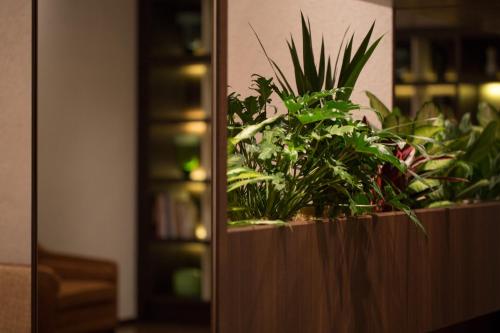 a wooden planter with plants in a room at HOTEL FORZA HAKATAEKI CHIKUSHI-GUCHI Ⅰ in Fukuoka