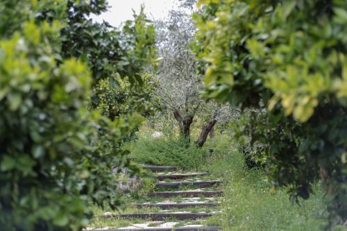 um caminho de pedra no meio das árvores em Opora Country Living em Nafplio