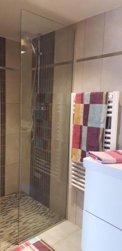 une douche avec une porte vitrée dans une salle de bain dans l'établissement Studio Indépendant avec parking fermé et sécurisé, à Lédenon